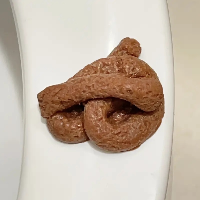 Realistic Floating Fake Poop P - Fake Poop Gag Gift review and price