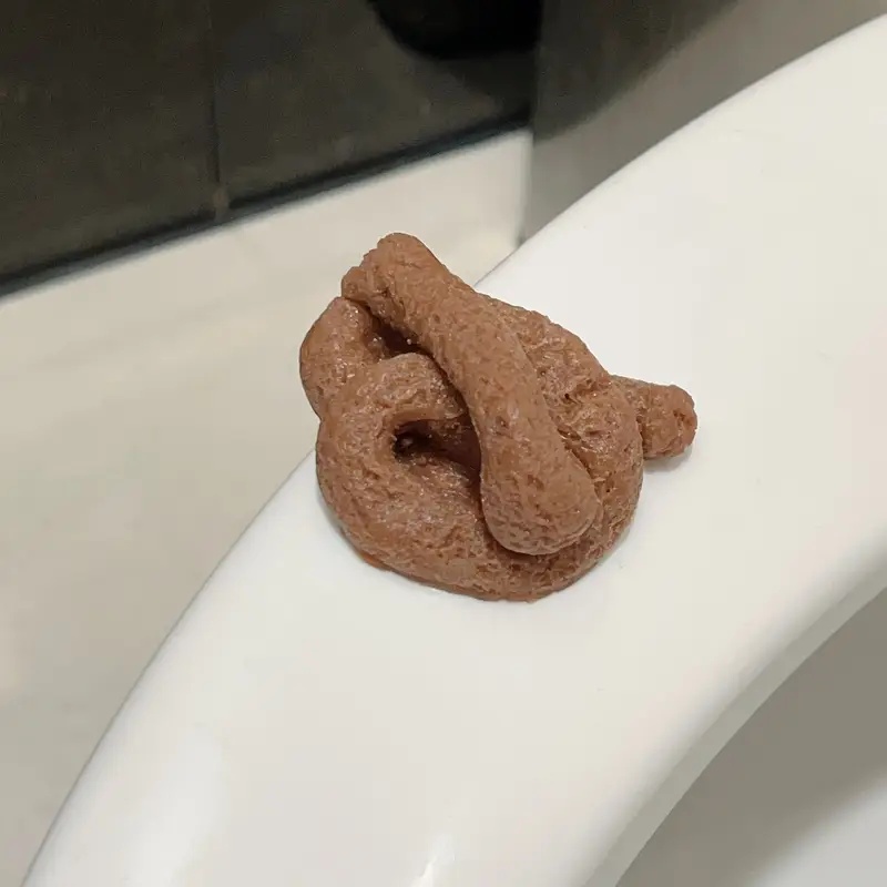 Realistic Floating Fake Poop P - Fake Poop Gag Gift review and price